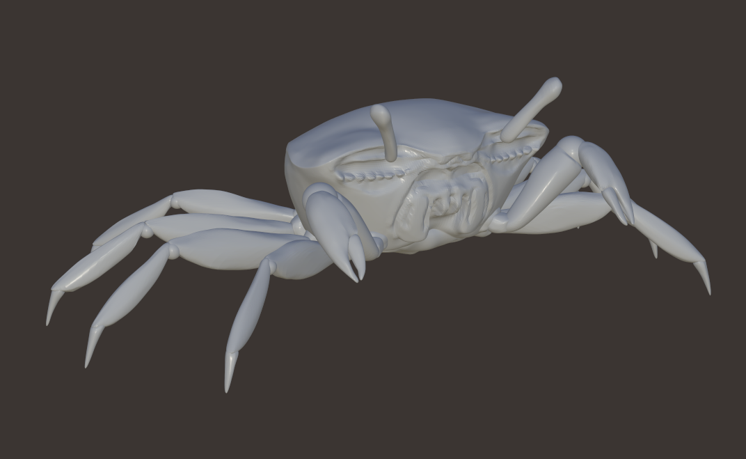 female crab model