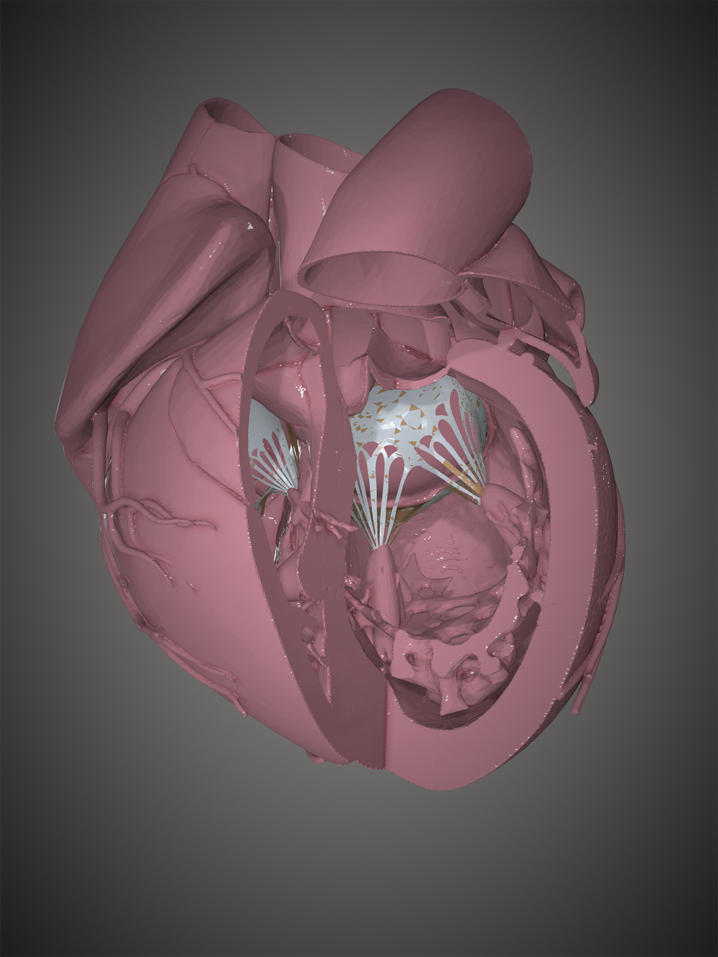 Heart 3D Maquette