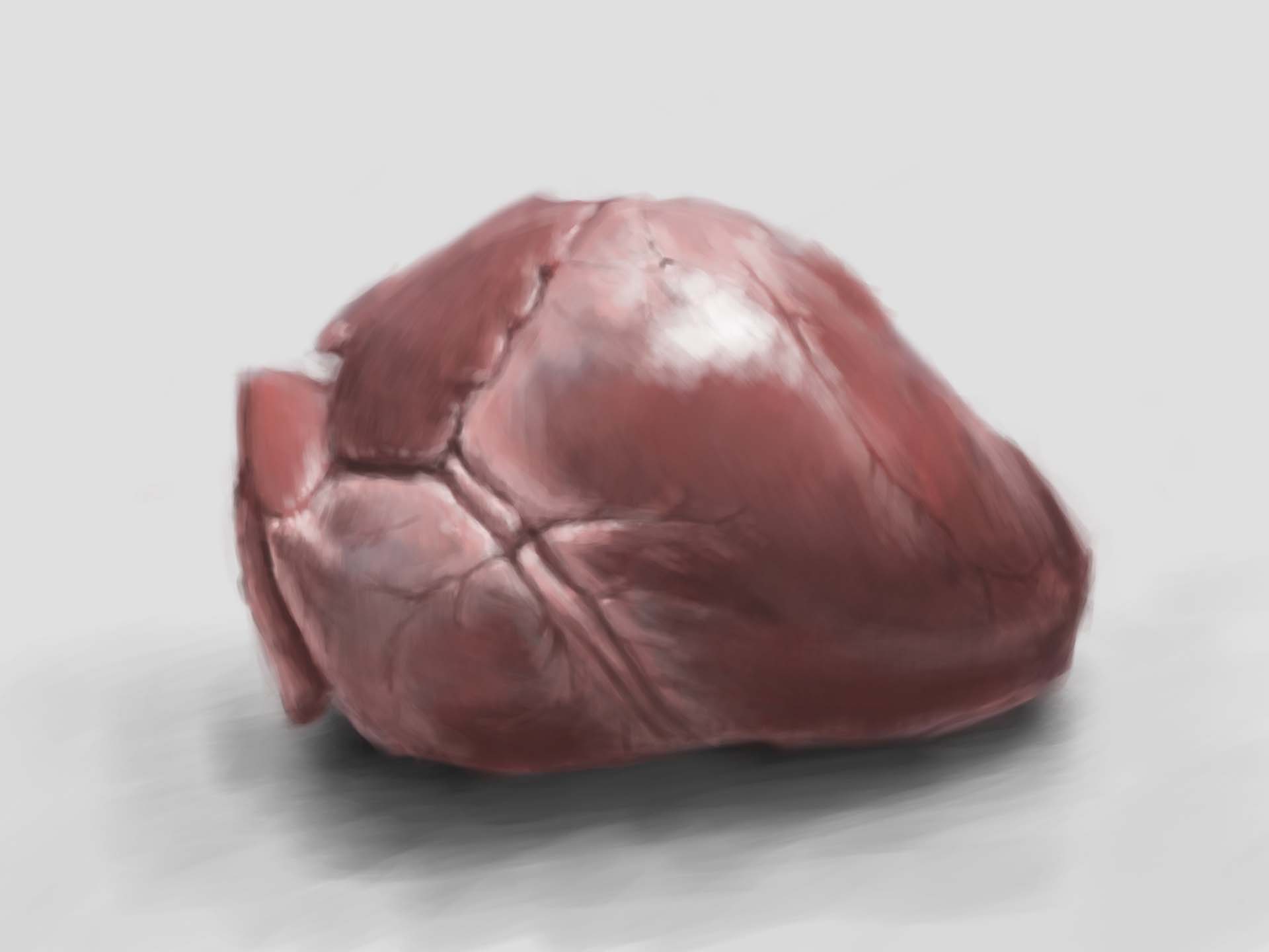 Heart Color Study