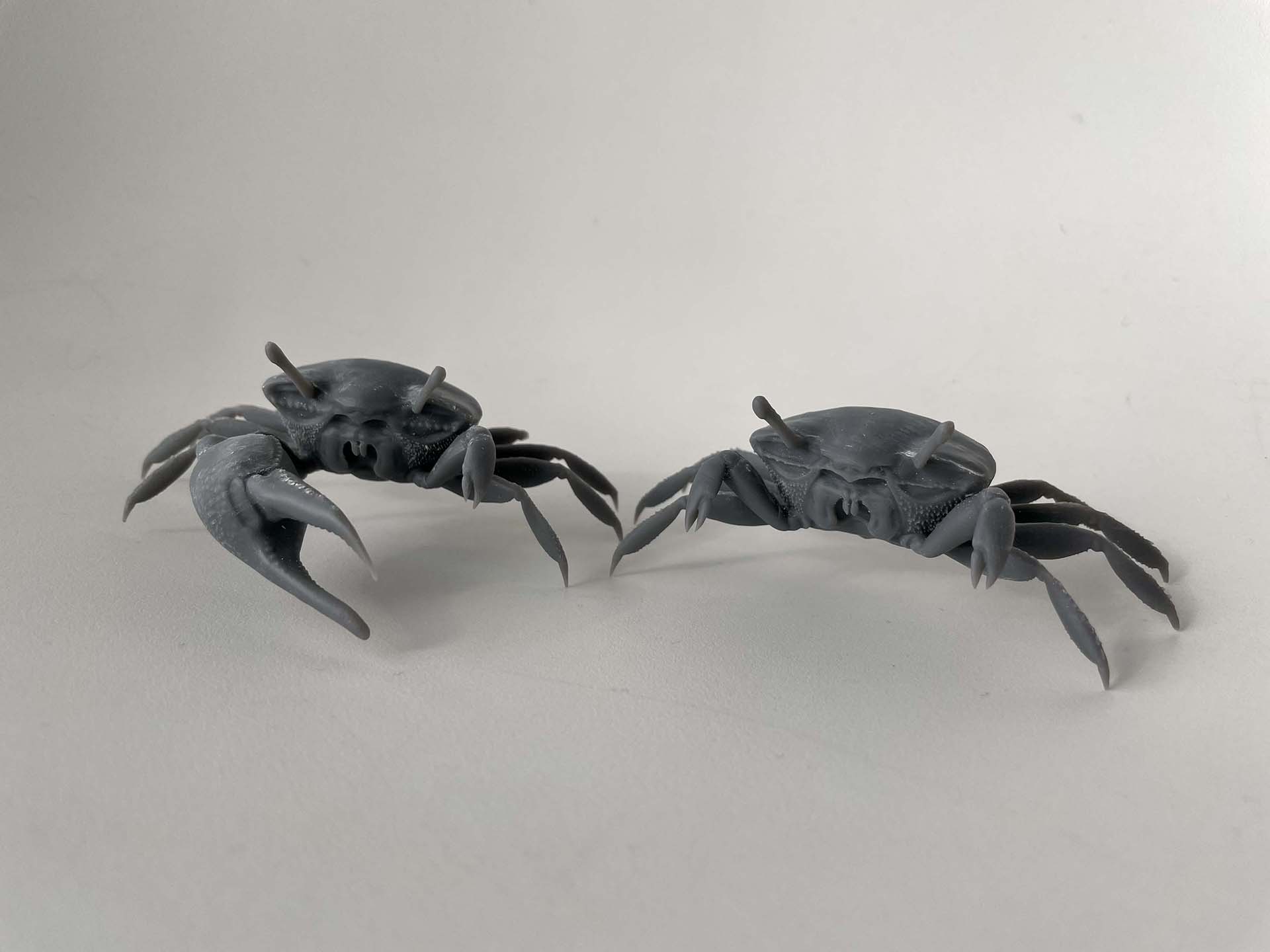 printed crabs